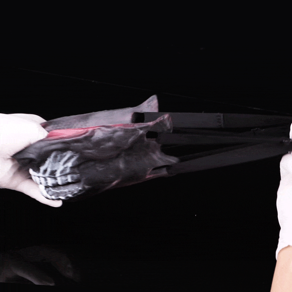 Strap-On Fantasy Silicone BDSM Masks - Couples Sex Roleplay and Teasing Toys