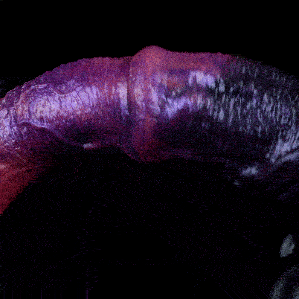 Cosmic Stallion Dual-Pour Platinum Silicone Alien Horse Dildo with Heavy-Duty Vacuum Base