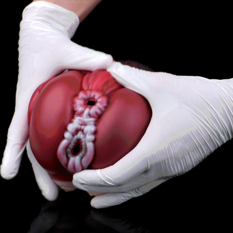 Aestrielle Alien Pocket Pussy Dual-Channel Horse Torso Mini Sex Doll | Domlust Aestrielle Alien Pocket Pussy Dual-Channel Horse Torso Mini Sex Doll | Domlust