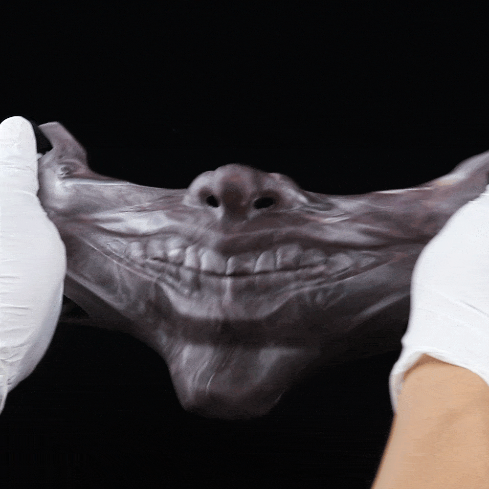 'Biteboy' Playful Pup Slave Silicone Mask – Premium BDSM & Bondage Gear