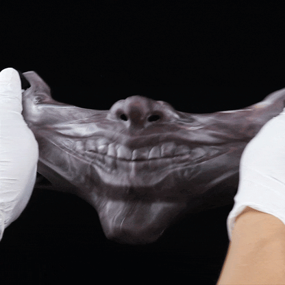 'Biteboy' Playful Pup Slave Silicone Mask – Premium BDSM & Bondage Gear