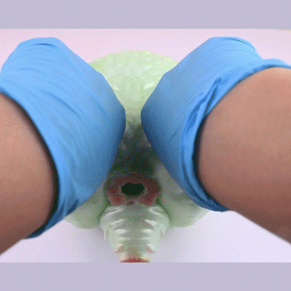 Monster Spirit Beast Fantasy Ass Pocket Pussy - Single-Channel Silicone Male Masturbation Stroker