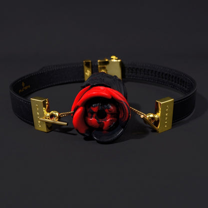 Bâillon-bouche Yukina Fantasy - Bâillon-boule en silicone rose rouge et noir, cuir, jouets sexuels BDSM coquins