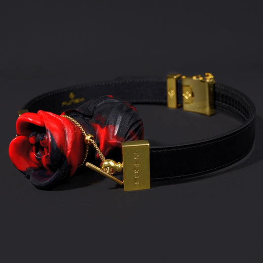 Bâillon-bouche Yukina Fantasy - Bâillon-boule en silicone rose rouge et noir, jouet sexuel coquin en cuir