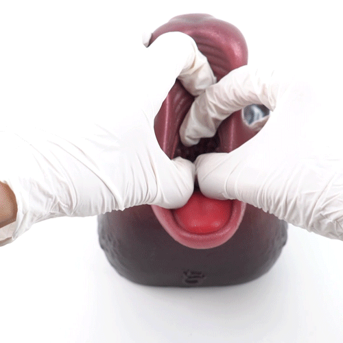 Fantasy Deer Realistic Anime Blowjob Pussy Toy - Insertable Male Penis Massage Silicone Masturbation