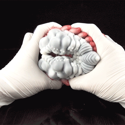 Alien Fantasy Vibrating Grinder Sex Toy | Open-Channel Pussy Grinder for Penis Desensitization