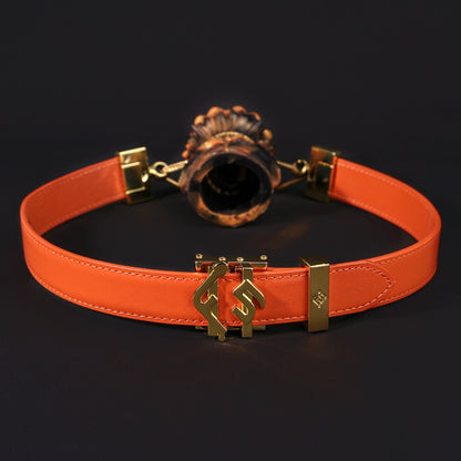 Bâillon buccal Rose Charming, jouets BDSM – Contraintes extrêmes, sexualité féminine érotique et perverse
