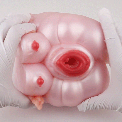 Pink Silicone Penis Massaging Fantasy Animal Pocket Pussy - Realistic Sex Doll Blowjob Toy